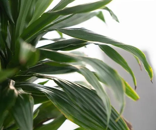 Leticia Santorini With Heated Jacuzzi Villa *